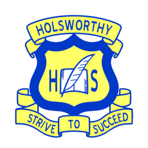 Holsworthy High School